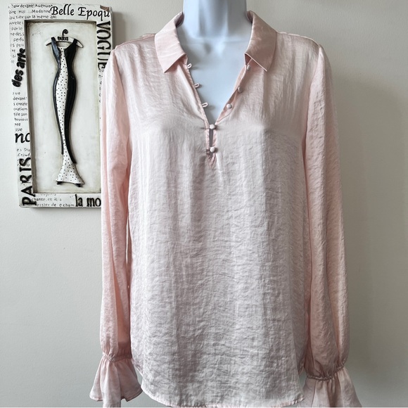 PAIGE Resa Pink Long Bell Sleeve V-Neck Blouse Top Size S - Picture 1 of 8